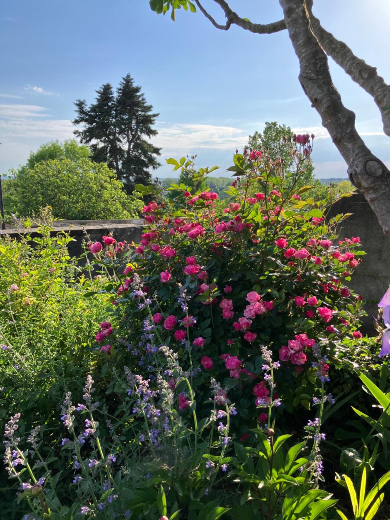 La Villa Lauvray Vétheuil Exteriér fotografie